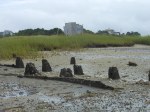 Wharf Pilings - 002