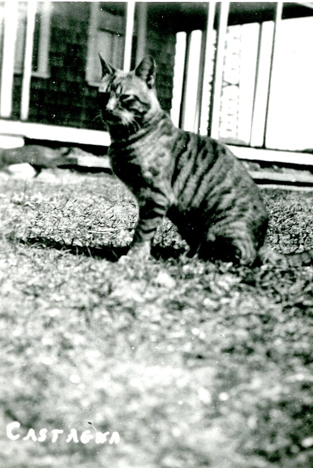 Castagna at the Marconi Station -- photo thanks to the National Park Service