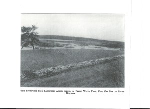 Austin Landscape, early 1930's. Image from April 1932 issue  of "Bird Banding."
