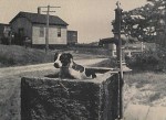 South Wellfleet General Store Pump and Cistern from Danial Lombardo book