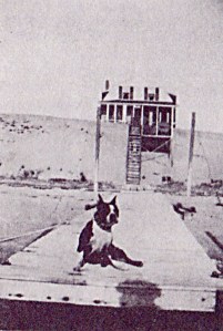 Old Wharf Point house with dock from A.F. Joy's  book listed below