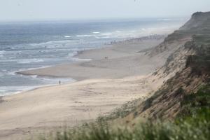 The Back Shore in South Wellfleet