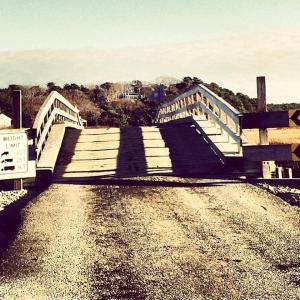 Kevin F. photo of the bridge